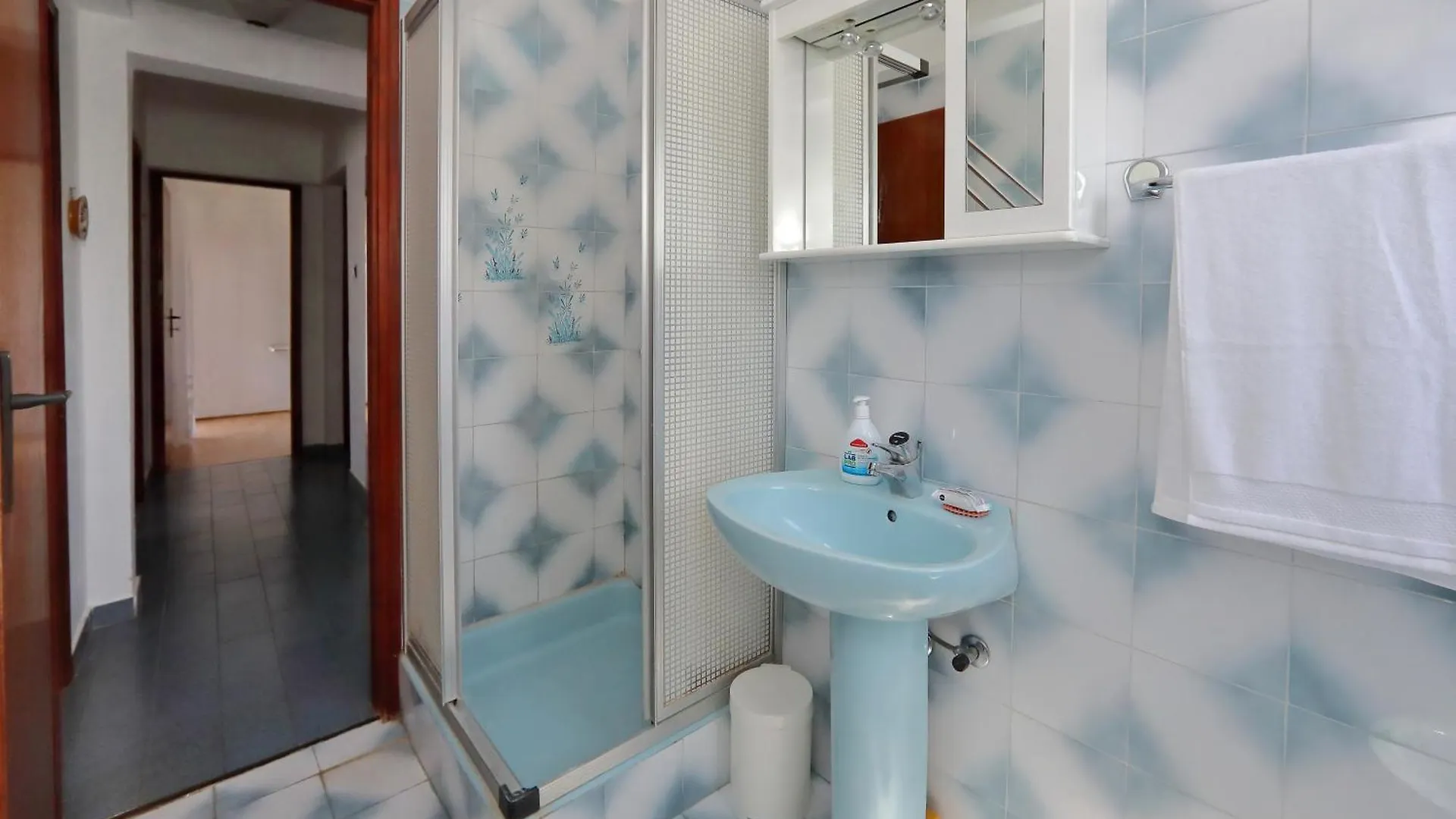 Apartment Milka Bibinje